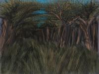Forest Scene